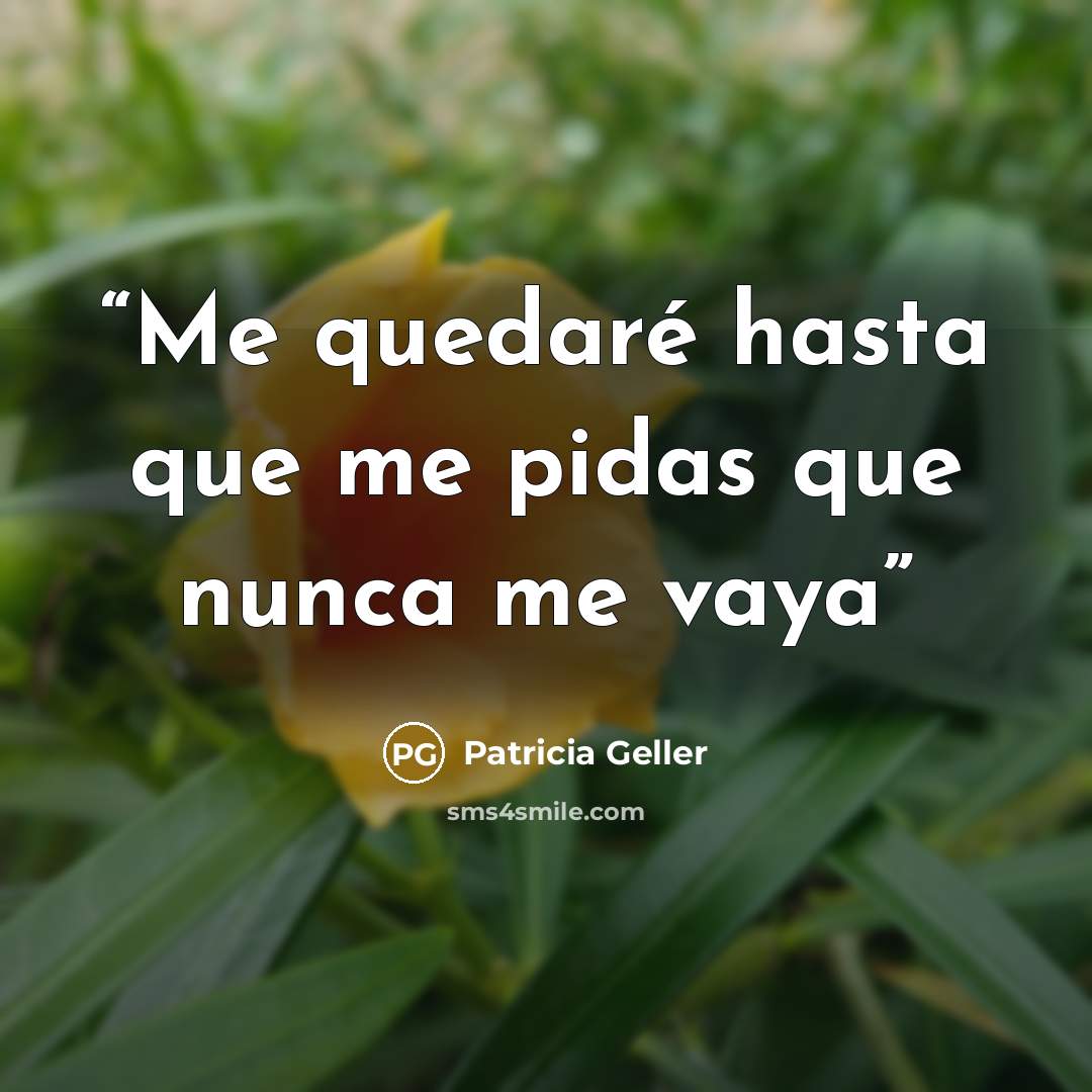 “Me quedaré hasta que me pidas que nunca me vaya” quote by Patricia Geller