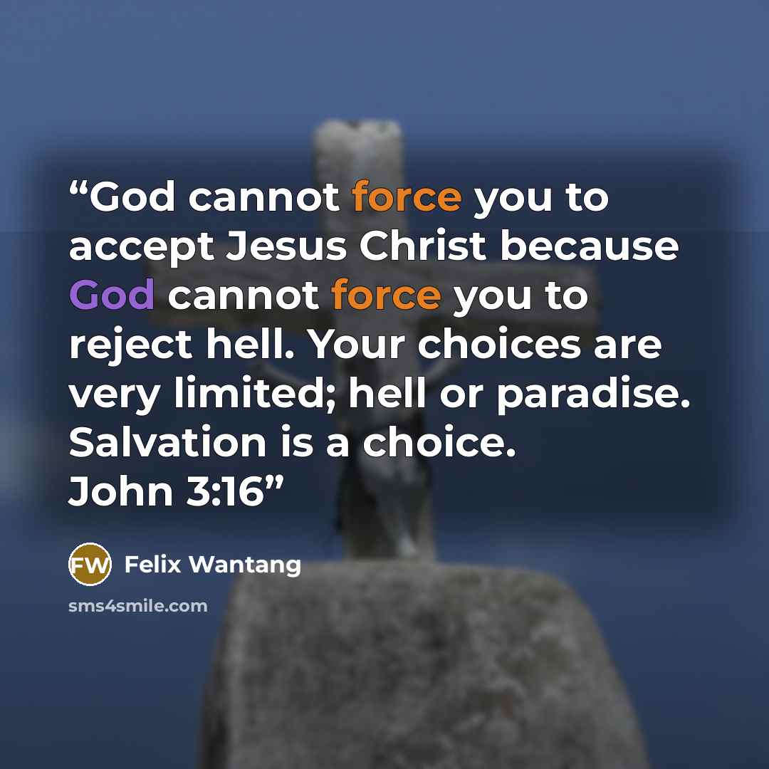 “God cannot force you to accept Jesus Christ because God cannot force you to reject hell. Your choices are very limited; hell or paradise. Salvation is a choice. John 3:16” quote by Felix Wantang