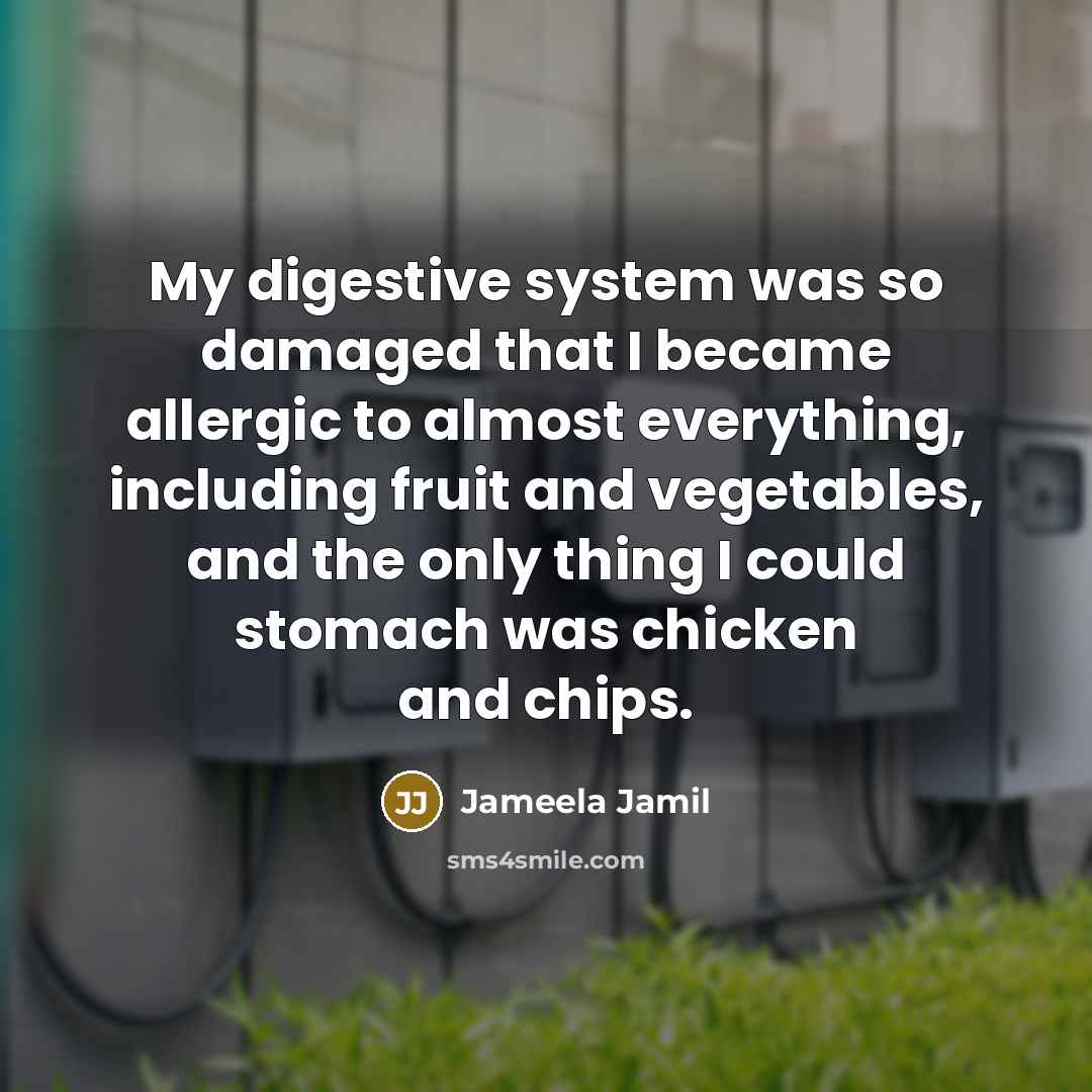 “My digestive system was so damaged that I became allergic to almost everything, including fruit and vegetables, and the only thing I could stomach was chicken and chips.” quote by Jameela Jamil