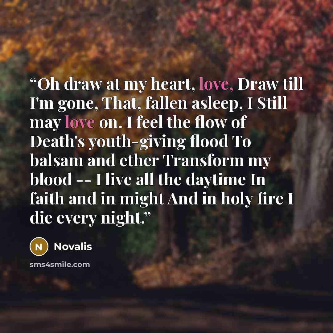 “Oh draw at my heart, love, Draw till I'm gone, That, fallen asleep, I Still may love on. I feel the flow of Death's youth-giving flood To balsam and ether Transform my blood -- I live all the daytime In faith and in might And in holy fire I die every night.” quote by Novalis