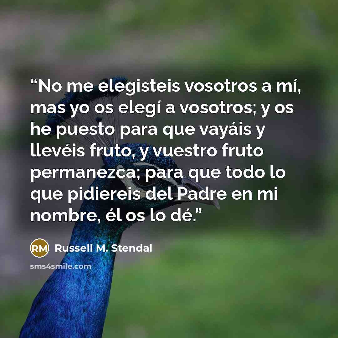 “No me elegisteis vosotros a mí, mas yo os elegí a vosotros; y os he puesto para que vayáis y llevéis fruto, y vuestro fruto permanezca; para que todo lo que pidiereis del Padre en mi nombre, él os lo dé.” quote by Russell M. Stendal