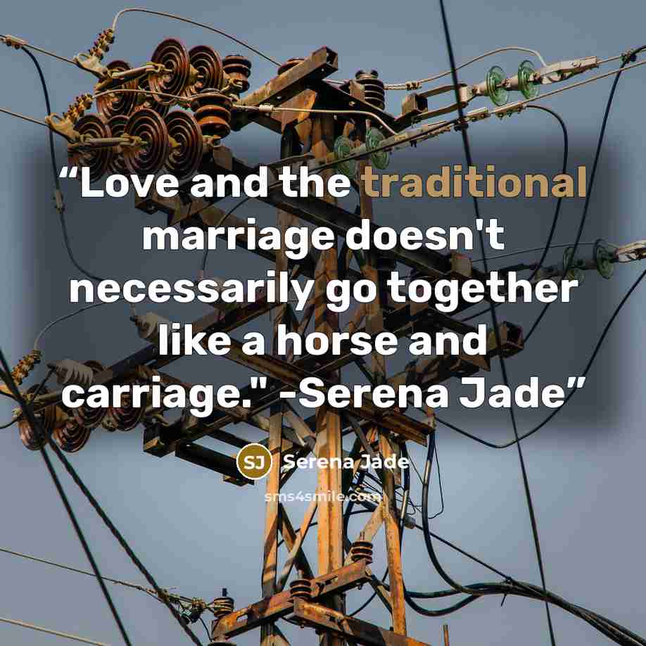 “Love and the traditional marriage doesn't necessarily go together like a horse and carriage." -Serena Jade” quote by Serena Jade