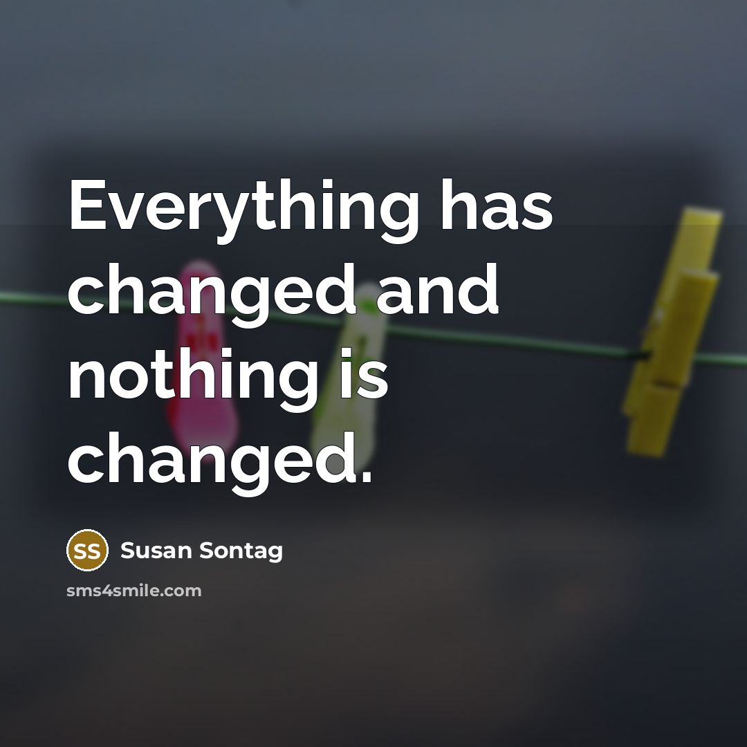 “Everything has changed and nothing is changed.” quote by Susan Sontag