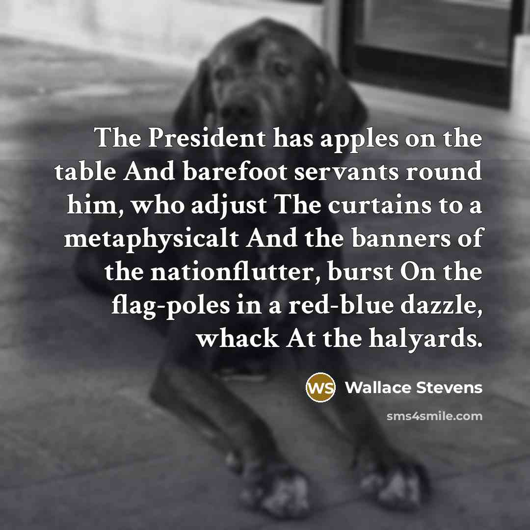 “The President has apples on the table And barefoot servants round him, who adjust The curtains to a metaphysicalt And the banners of the nationflutter, burst On the flag-poles in a red-blue dazzle, whack At the halyards.” quote by Wallace Stevens
