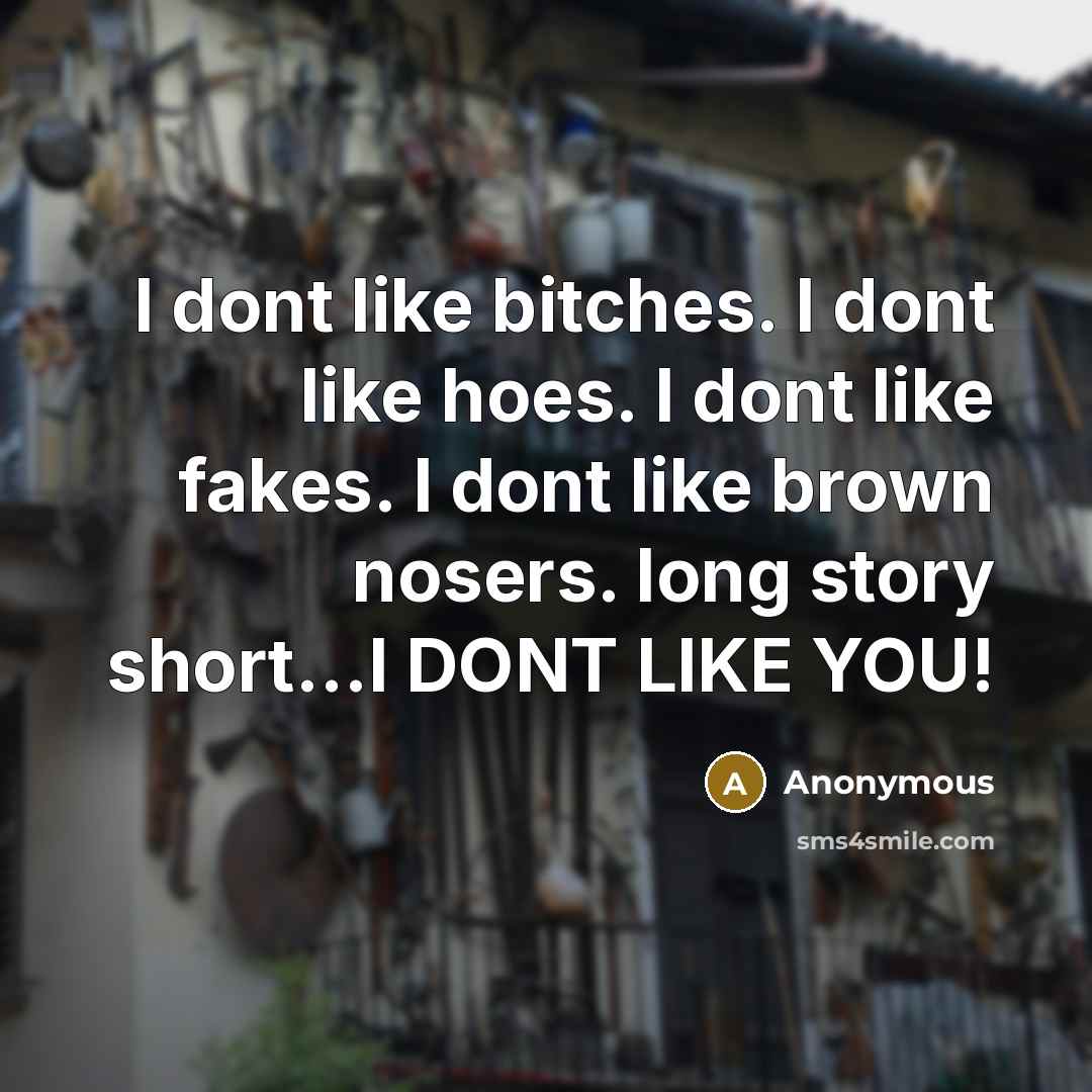 “I dont like bitches. I dont like hoes. I dont like fakes. I dont like brown nosers. long story short...I DONT LIKE YOU!” quote by Anonymous