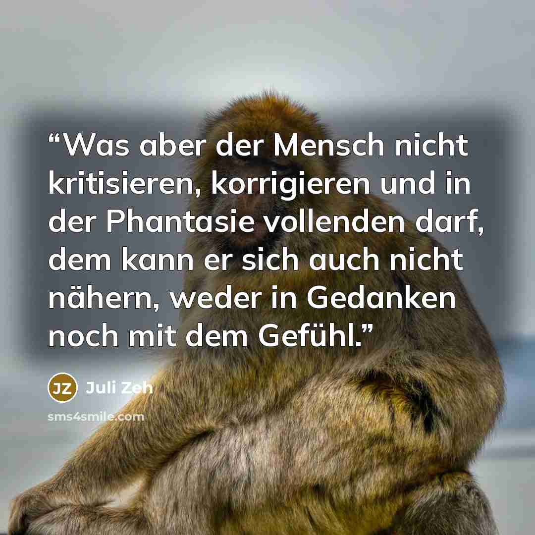 “Was aber der Mensch nicht kritisieren, korrigieren und in der Phantasie vollenden darf, dem kann er sich auch nicht nähern, weder in Gedanken noch mit dem Gefühl.” quote by Juli Zeh