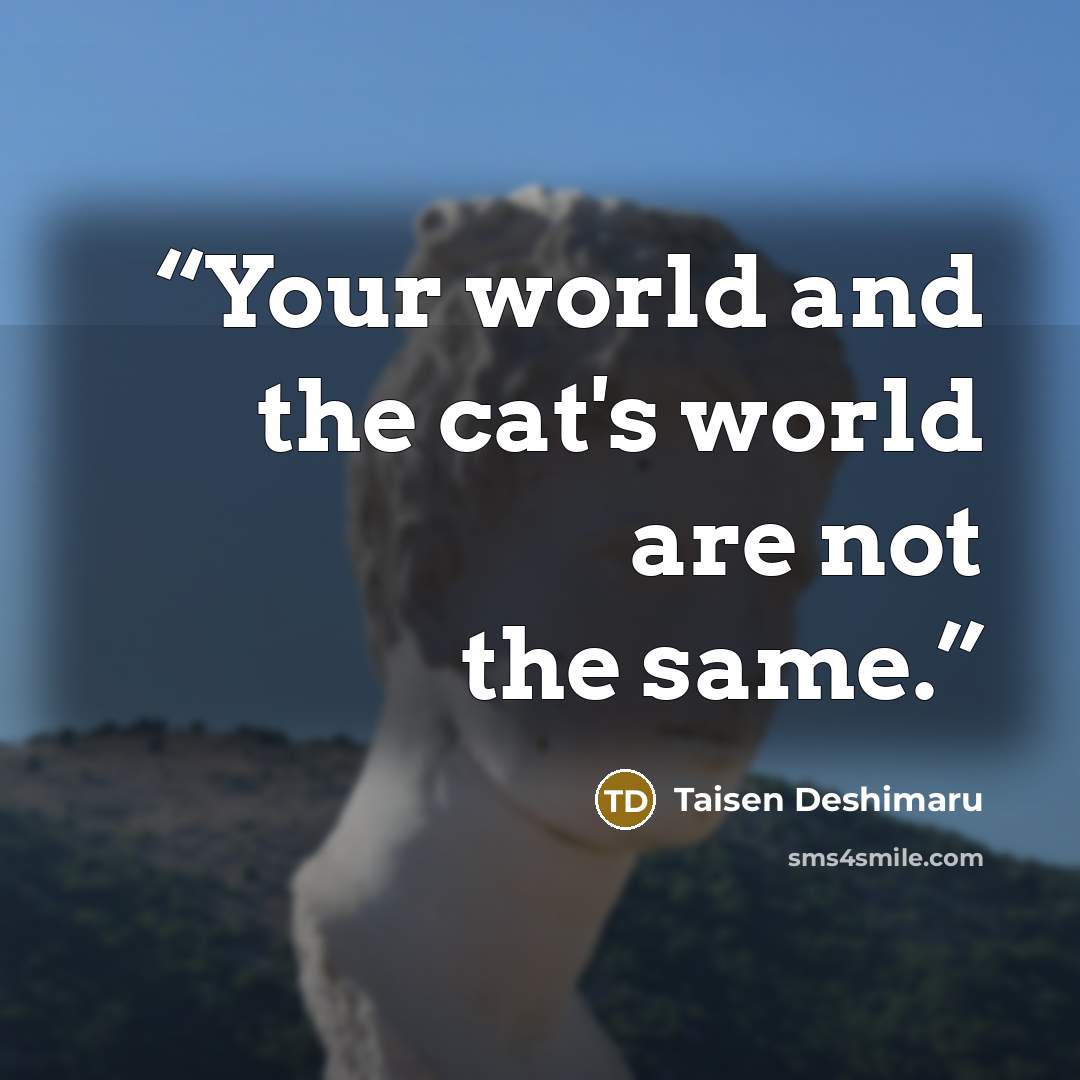 “Your world and the cat's world are not the same.” quote by Taisen Deshimaru
