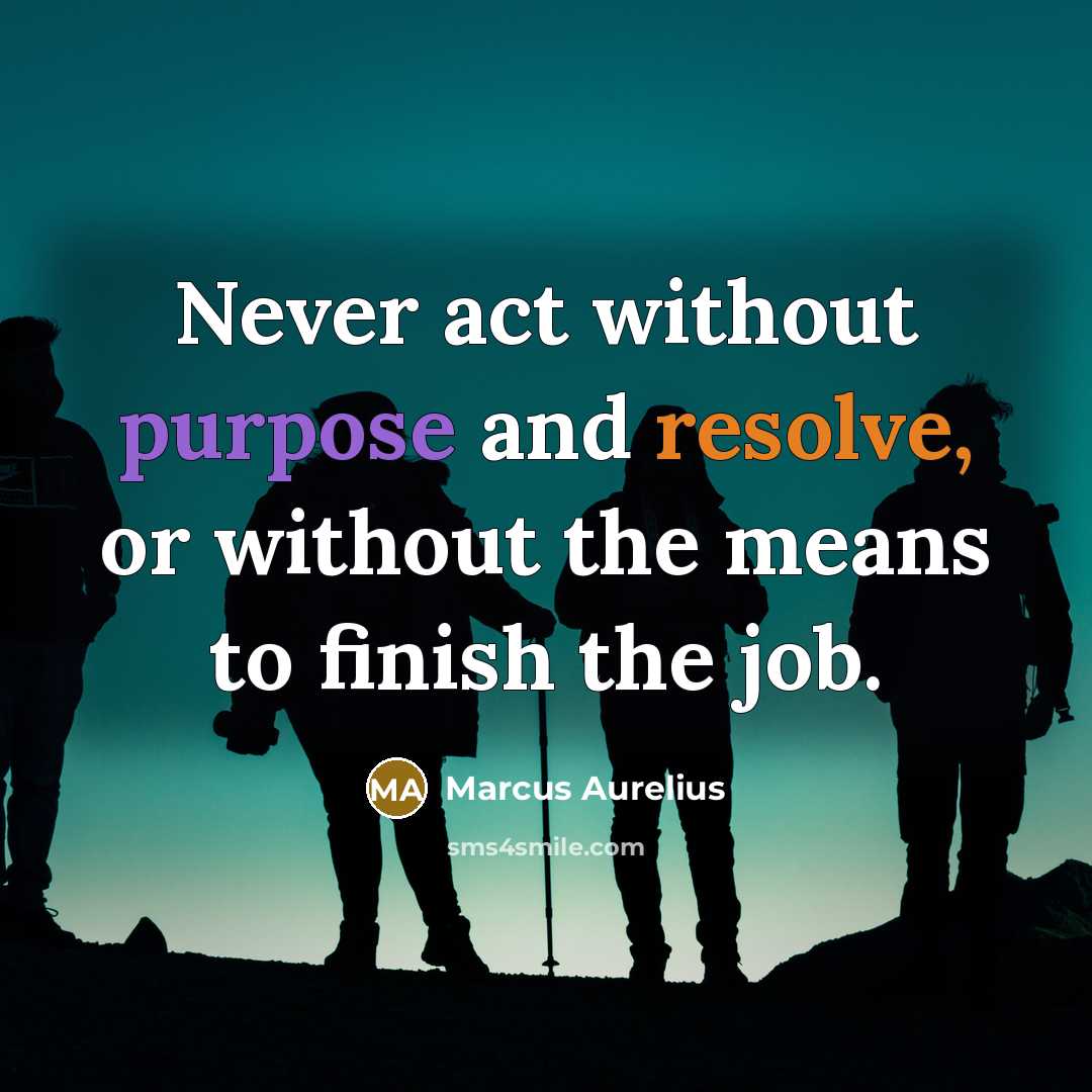 “Never act without purpose and resolve, or without the means to finish the job.” quote by Marcus Aurelius