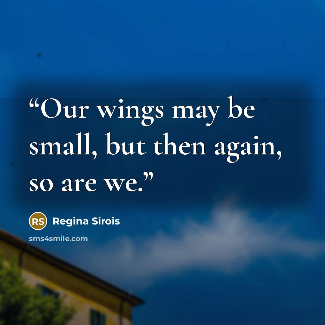 “Our wings may be small, but then again, so are we.” quote by Regina Sirois