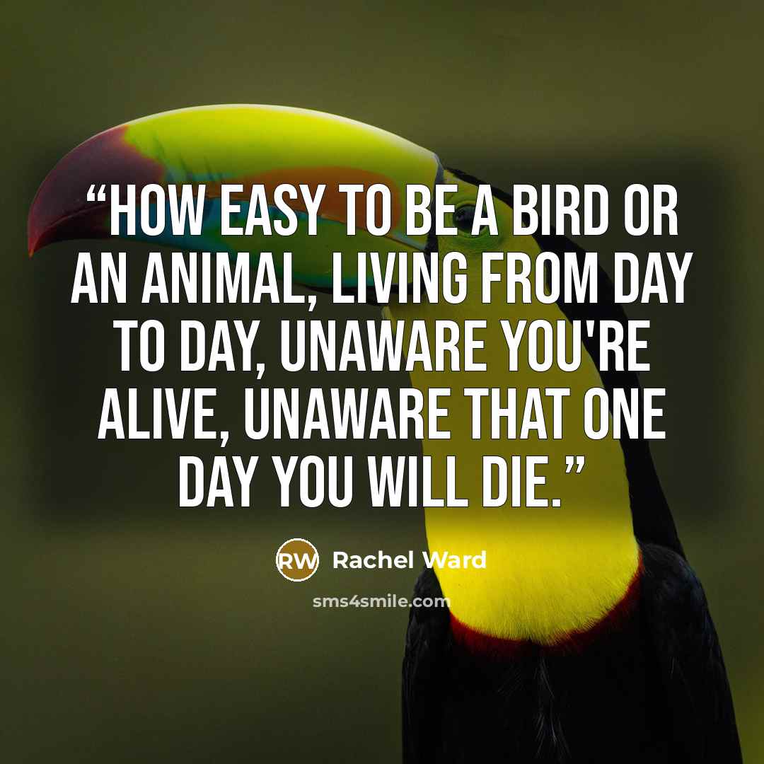 “How easy to be a bird or an animal, living from day to day, unaware you're alive, unaware that one day you will die.” quote by Rachel Ward