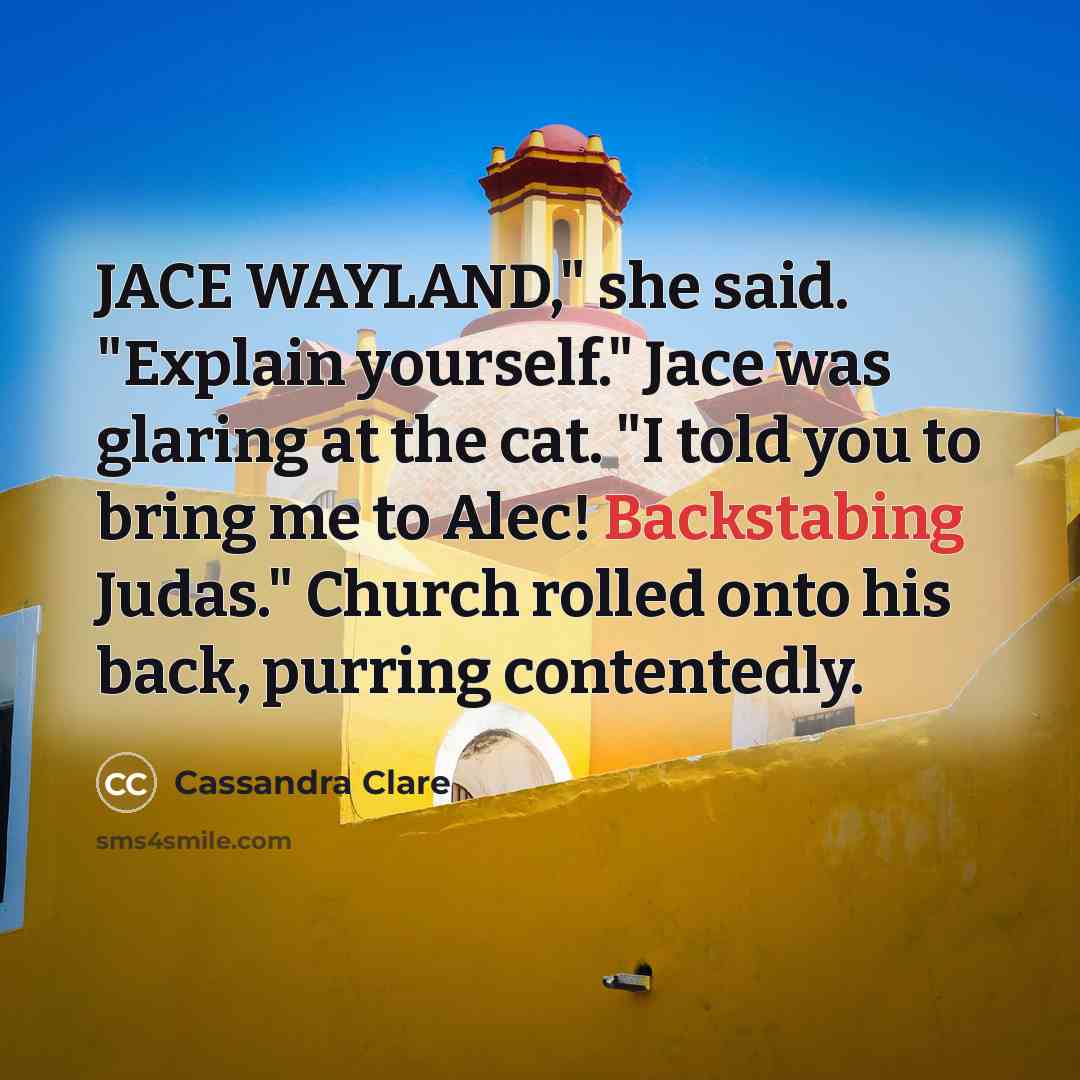 “JACE WAYLAND," she said. "Explain yourself." Jace was glaring at the cat. "I told you to bring me to Alec! Backstabing Judas." Church rolled onto his back, purring contentedly.” quote by Cassandra Clare