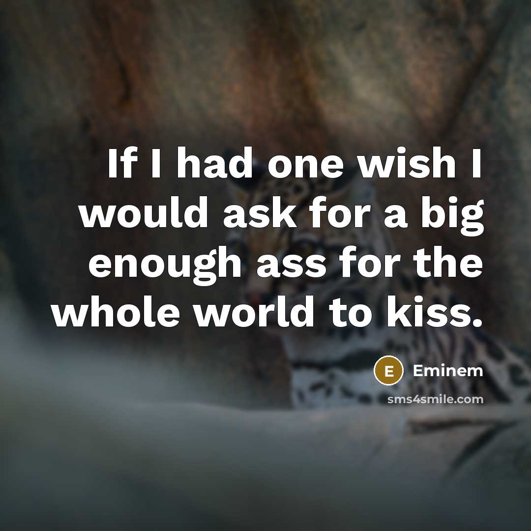 “If I had one wish I would ask for a big enough ass for the whole world to kiss.” quote by Eminem