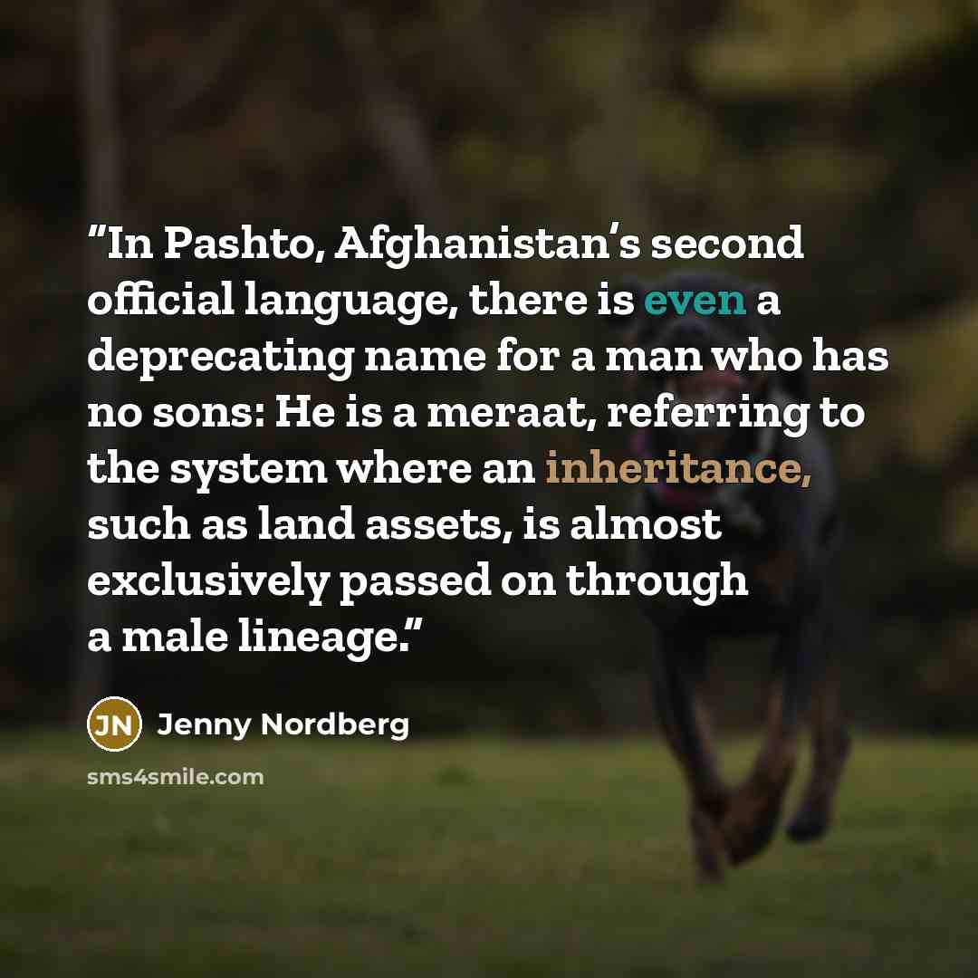 “In Pashto, Afghanistan’s second official language, there is even a deprecating name for a man who has no sons: He is a meraat, referring to the system where an inheritance, such as land assets, is almost exclusively passed on through a male lineage.” quote by Jenny Nordberg