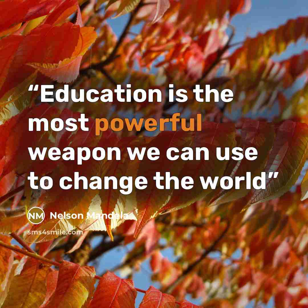 “Education is the most powerful weapon we can use to change the world” quote by Nelson Mandela