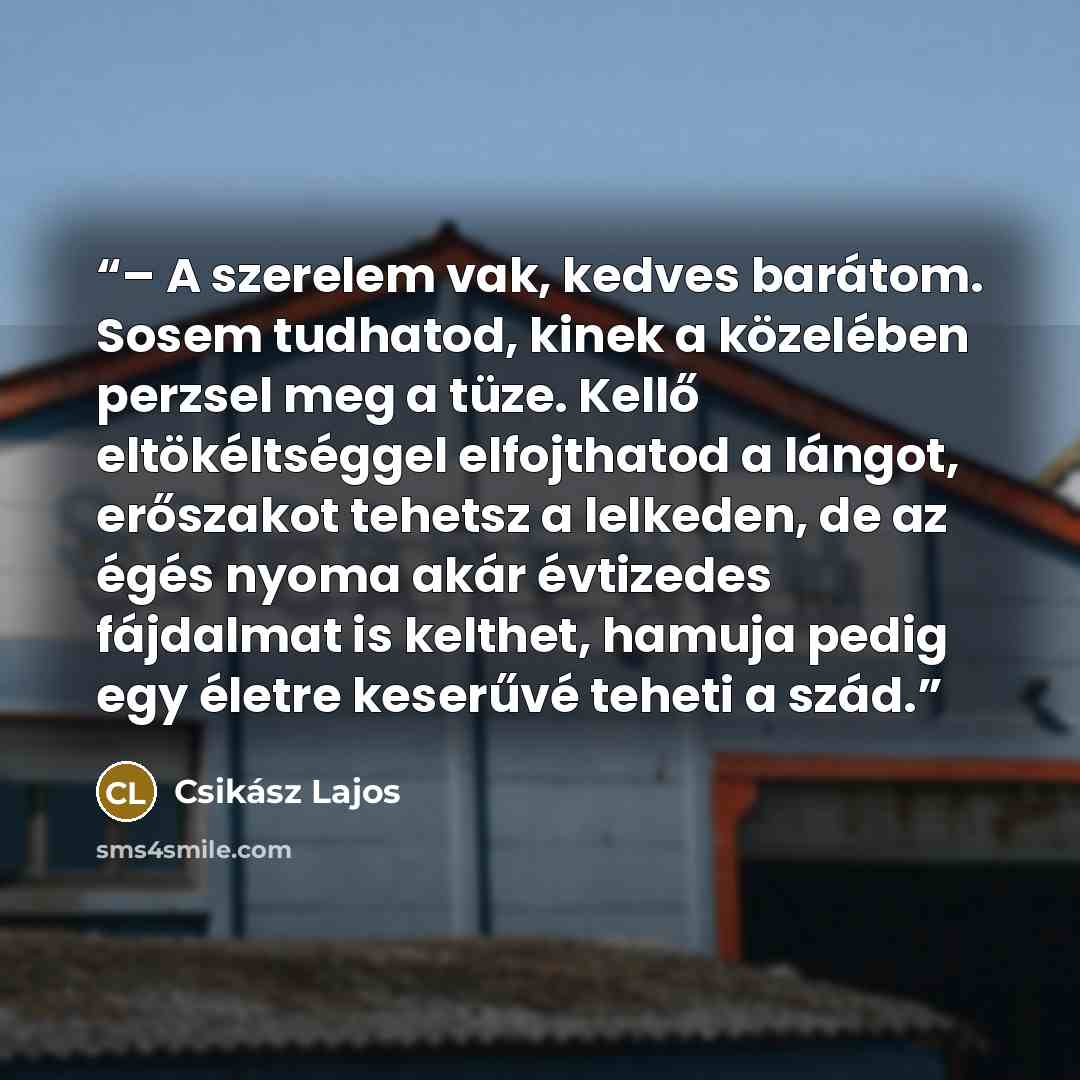 “– A szerelem vak, kedves barátom. Sosem tudhatod, kinek a közelében perzsel meg a tüze. Kellő eltökéltséggel elfojthatod a lángot, erőszakot tehetsz a lelkeden, de az égés nyoma akár évtizedes fájdalmat is kelthet, hamuja pedig egy életre keserűvé teheti a szád.” quote by Csikász Lajos