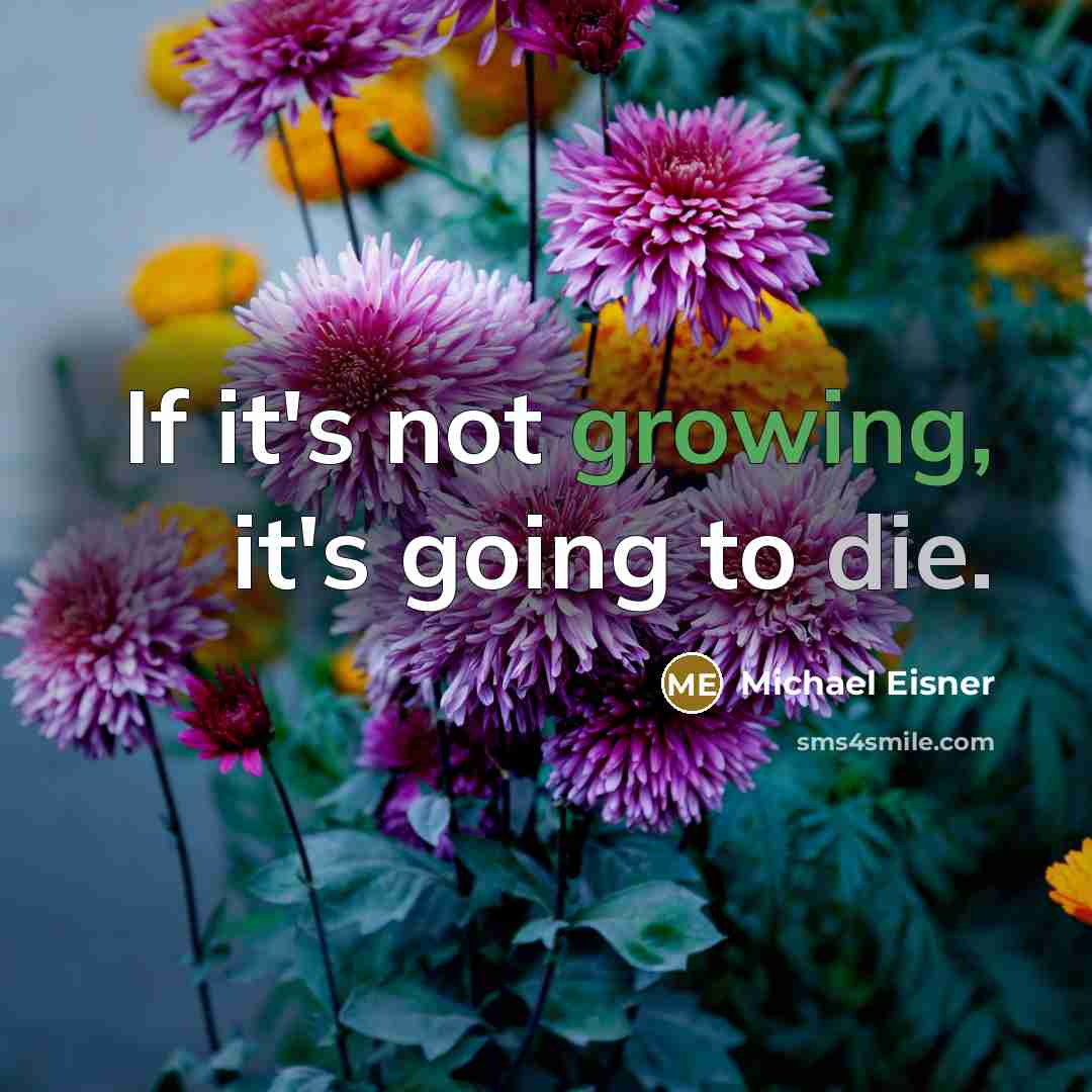 “If it's not growing, it's going to die.” quote by Michael Eisner