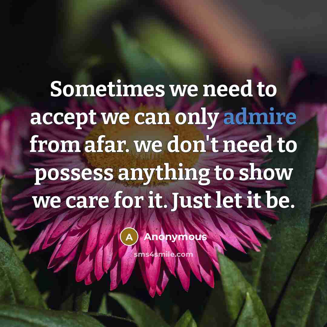 “Sometimes we need to accept we can only admire from afar. we don't need to possess anything to show we care for it. Just let it be.” quote by Anonymous
