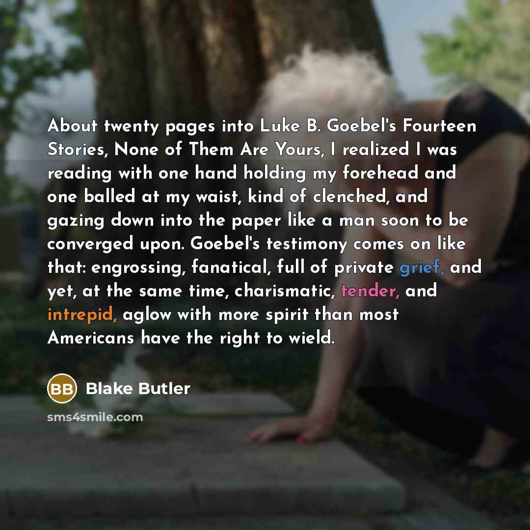 “About twenty pages into Luke B. Goebel's Fourteen Stories, None of Them Are Yours, I realized I was reading with one hand holding my forehead and one balled at my waist, kind of clenched, and gazing down into the paper like a man soon to be converged upon. Goebel's testimony comes on like that…” quote by Blake Butler