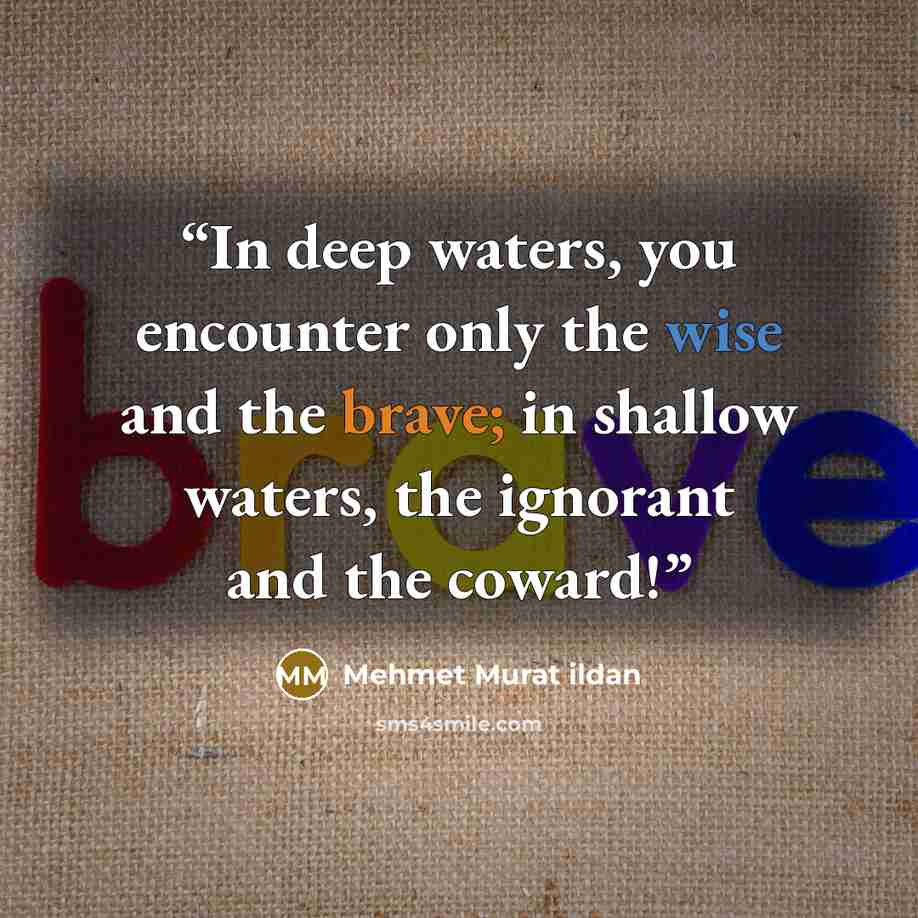 “In deep waters, you encounter only the wise and the brave; in shallow waters, the ignorant and the coward!” quote by Mehmet Murat ildan