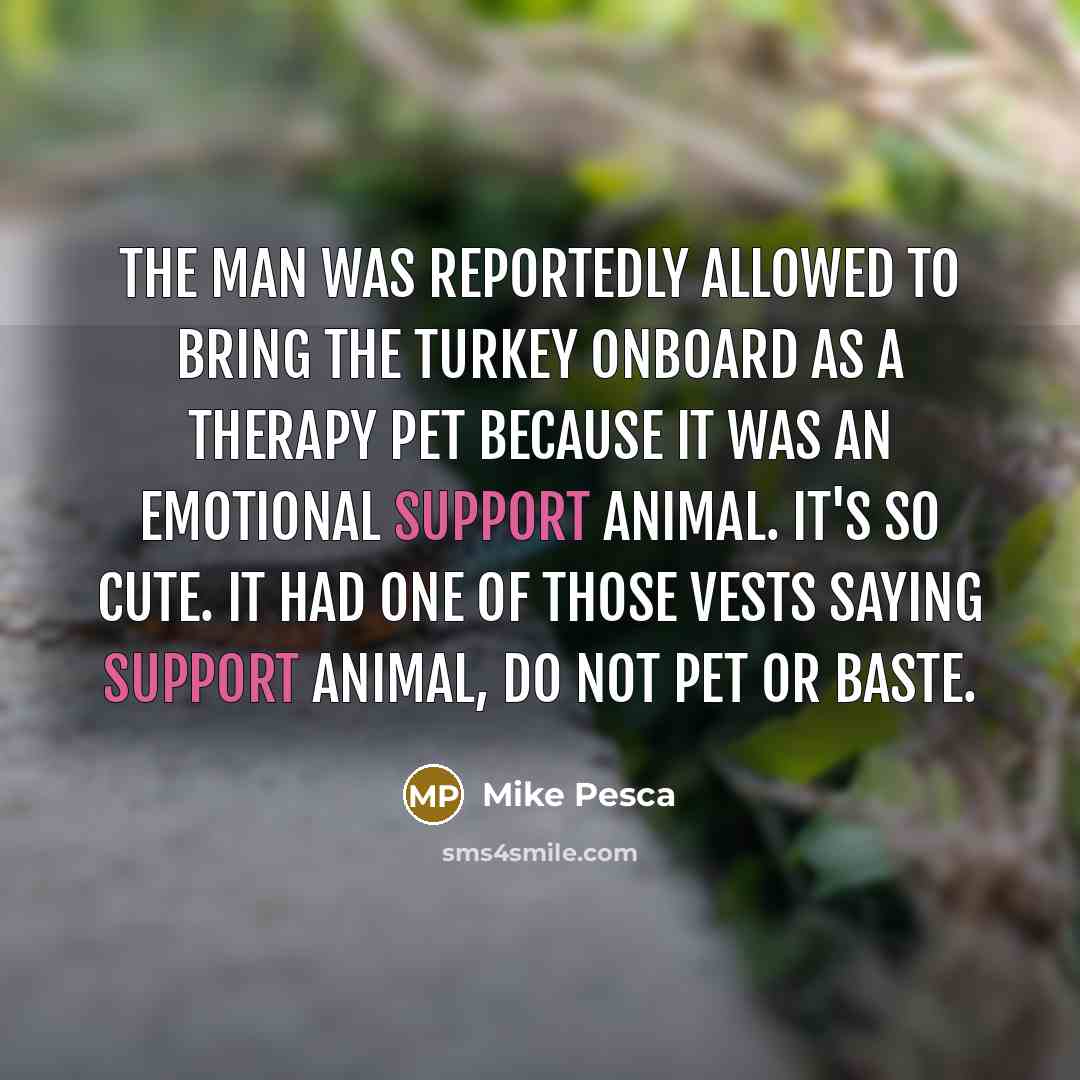 “The man was reportedly allowed to bring the turkey onboard as a therapy pet because it was an emotional support animal. It's so cute. It had one of those vests saying support animal, do not pet or baste.” quote by Mike Pesca