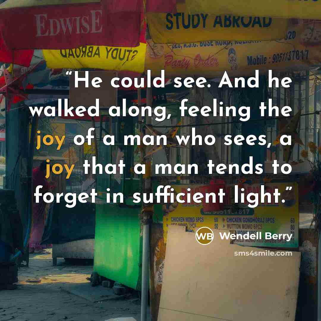 “He could see. And he walked along, feeling the joy of a man who sees, a joy that a man tends to forget in sufficient light.” quote by Wendell Berry