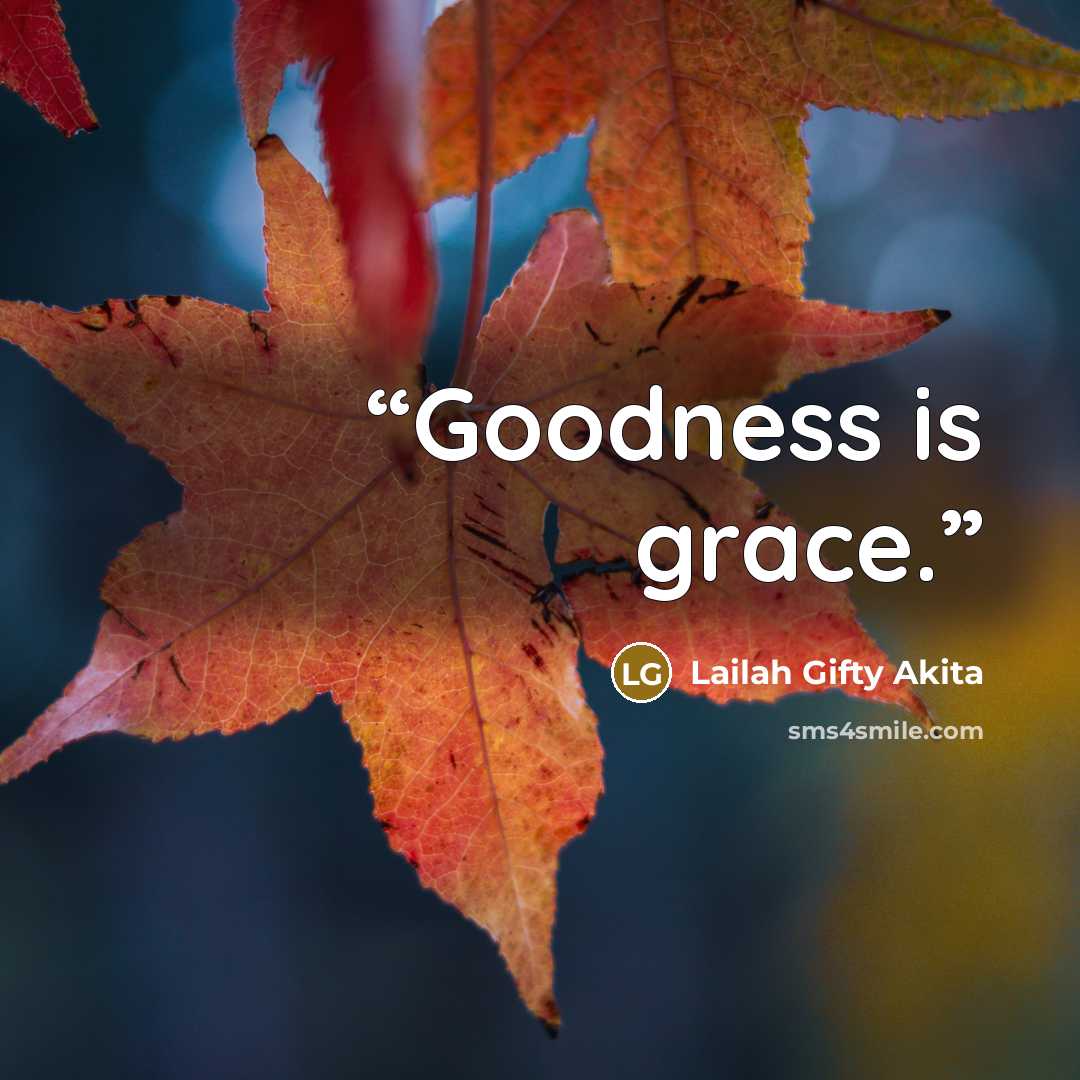 “Goodness is grace.” quote by Lailah Gifty Akita