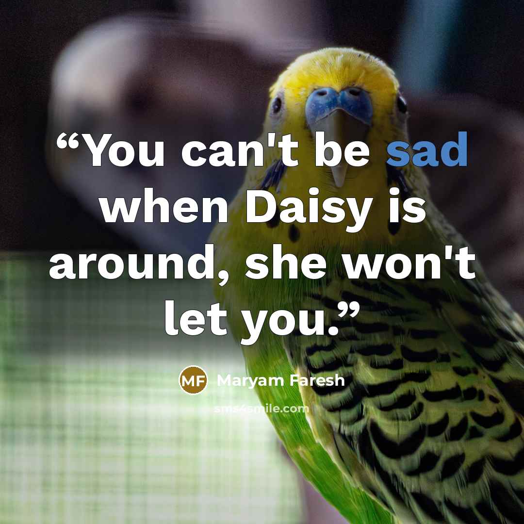“You can't be sad when Daisy is around, she won't let you.” quote by Maryam Faresh