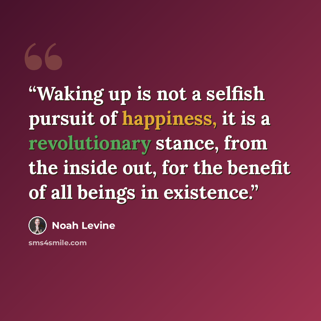 “Waking up is not a selfish pursuit of happiness, it is a revolutionary stance, from the inside out, for the benefit of all beings in existence.” quote by noah levine