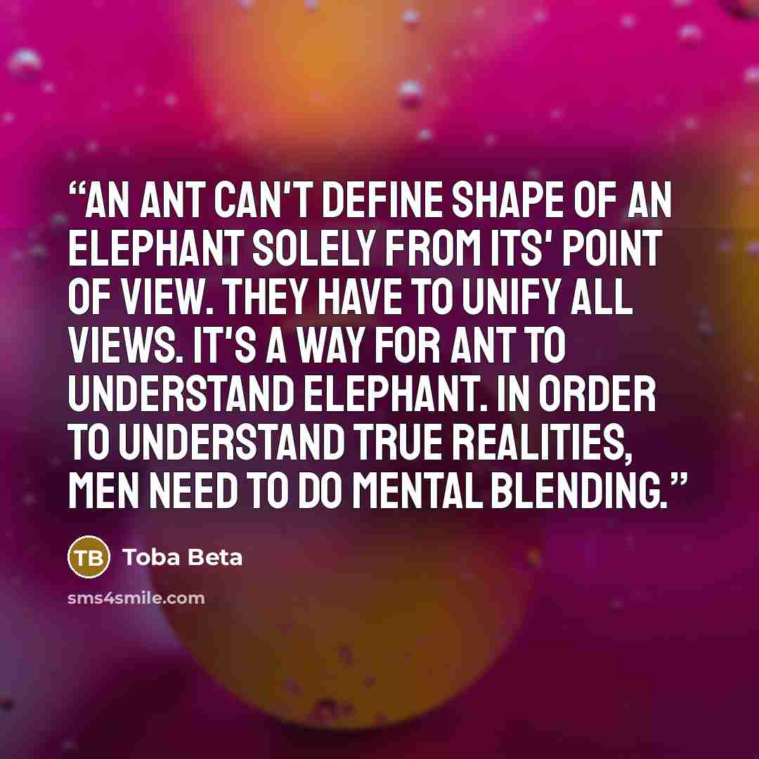 “An ant can't define shape of an elephant solely from its' point of view. They have to unify all views. It's a way for ant to understand elephant. In order to understand true realities, men need to do mental blending.” quote by Toba Beta