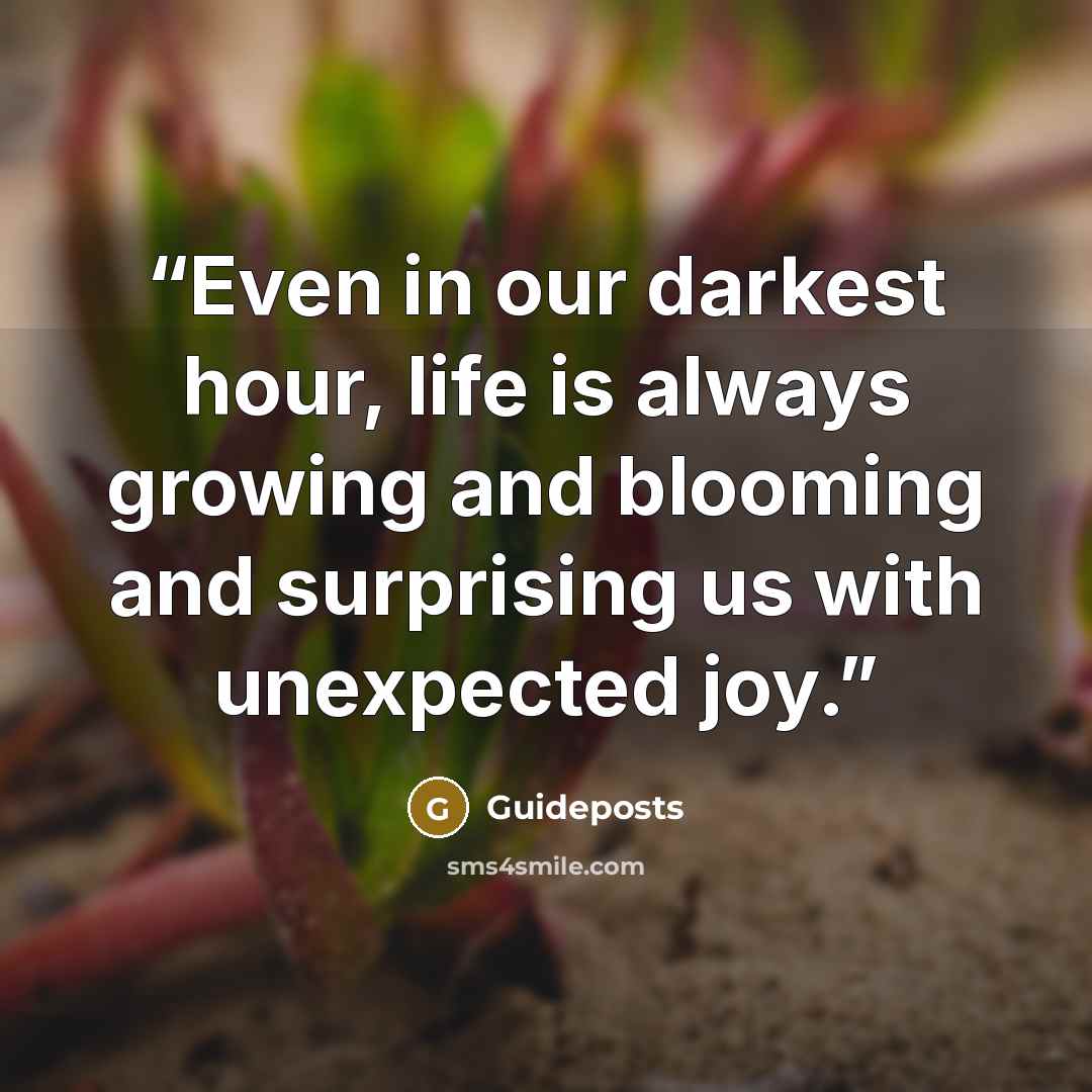 “Even in our darkest hour, life is always growing and blooming and surprising us with unexpected joy.” quote by Guideposts