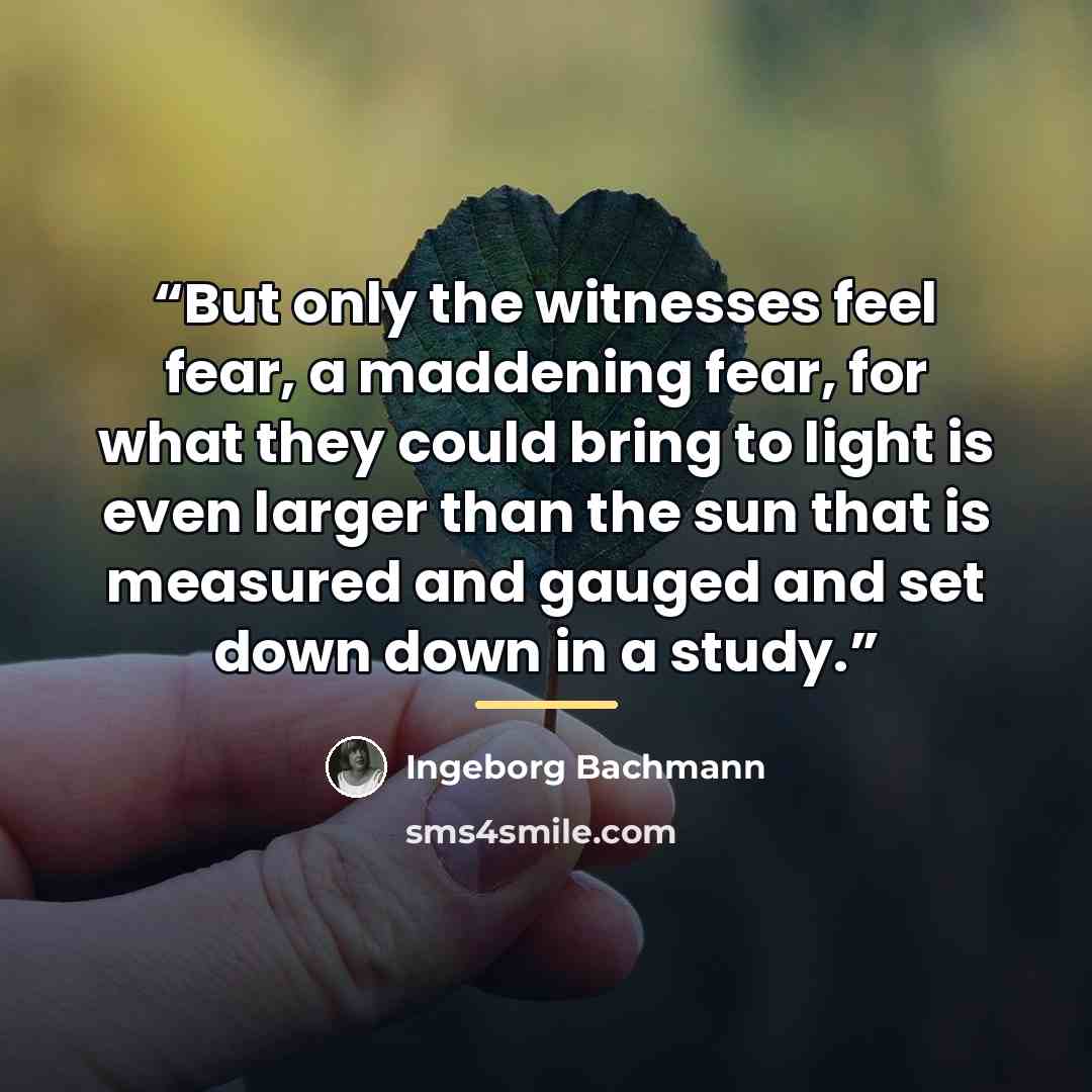 “But only the witnesses feel fear, a maddening fear, for what they could bring to light is even larger than the sun that is measured and gauged and set down down in a study.” quote by Ingeborg Bachmann