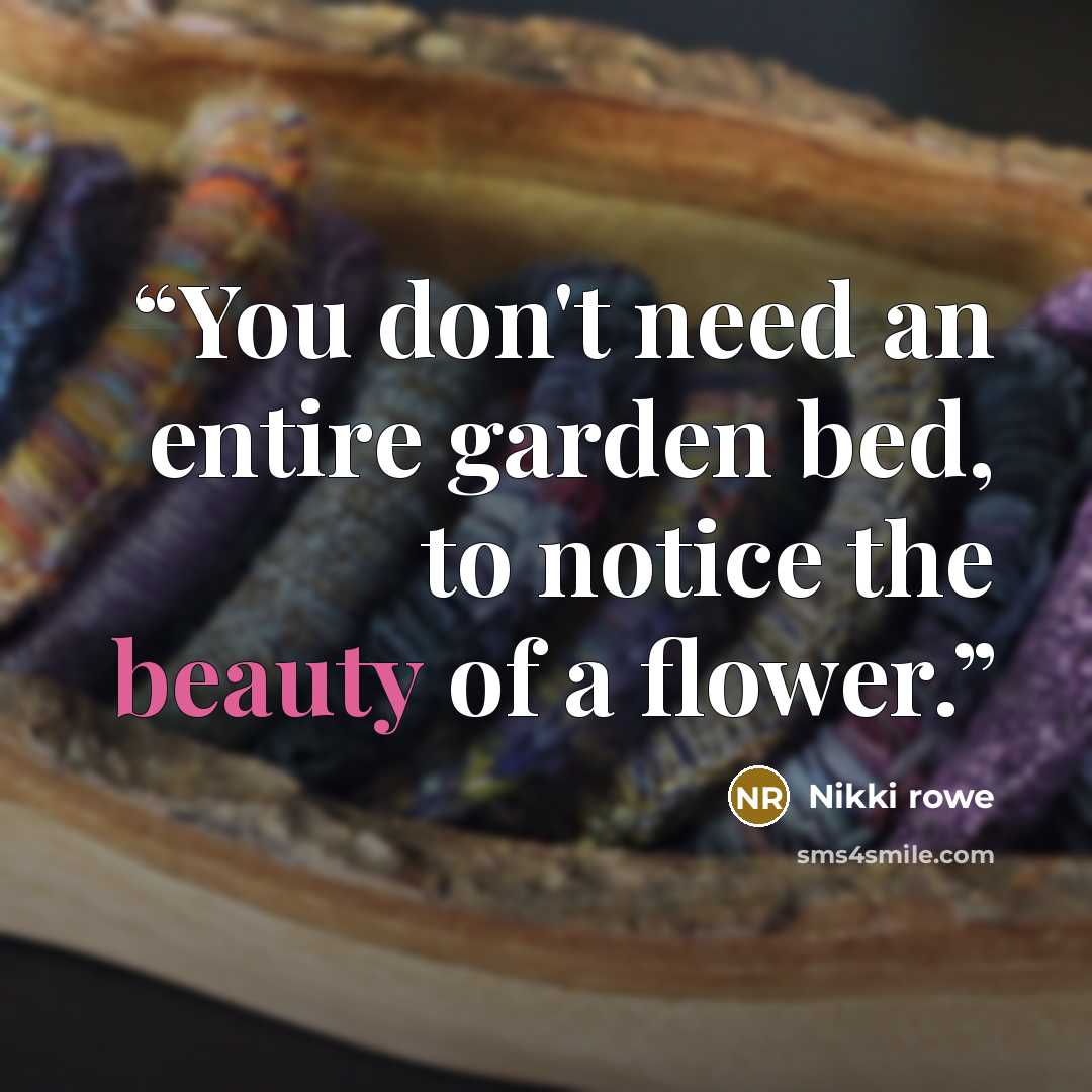 “You don't need an entire garden bed, to notice the beauty of a flower.” quote by Nikki Rowe