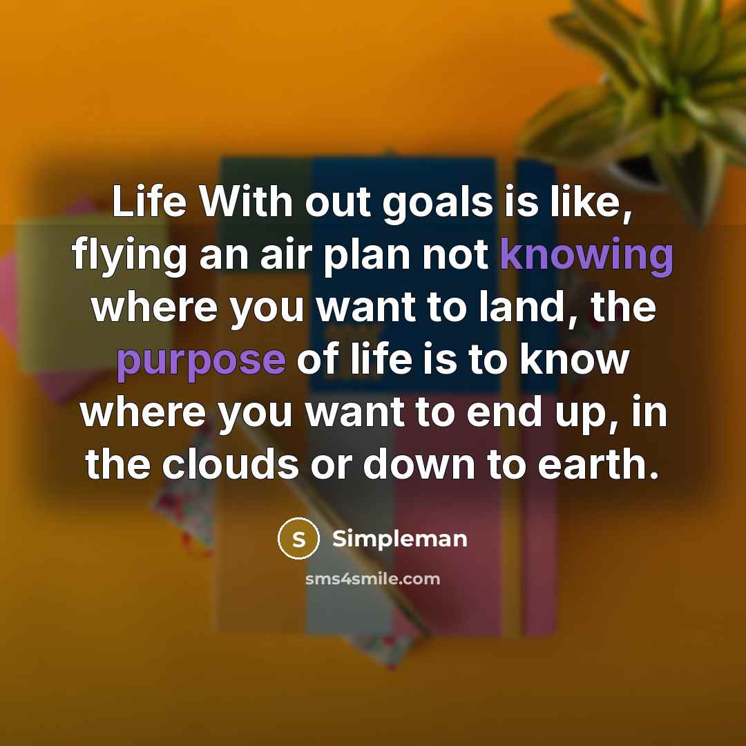 “Life With out goals is like, flying an air plan not knowing where you want to land, the purpose of life is to know where you want to end up, in the clouds or down to earth.” quote by Simpleman