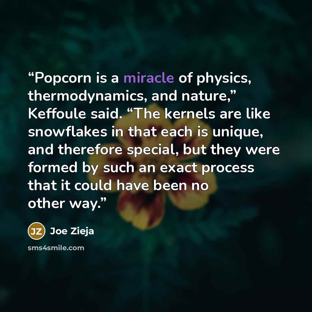 “Popcorn is a miracle of physics, thermodynamics, and nature,” Keffoule said. “The kernels are like snowflakes in that each is unique, and therefore special, but they were formed by such an exact process that it could have been no other way.” quote by Joe Zieja