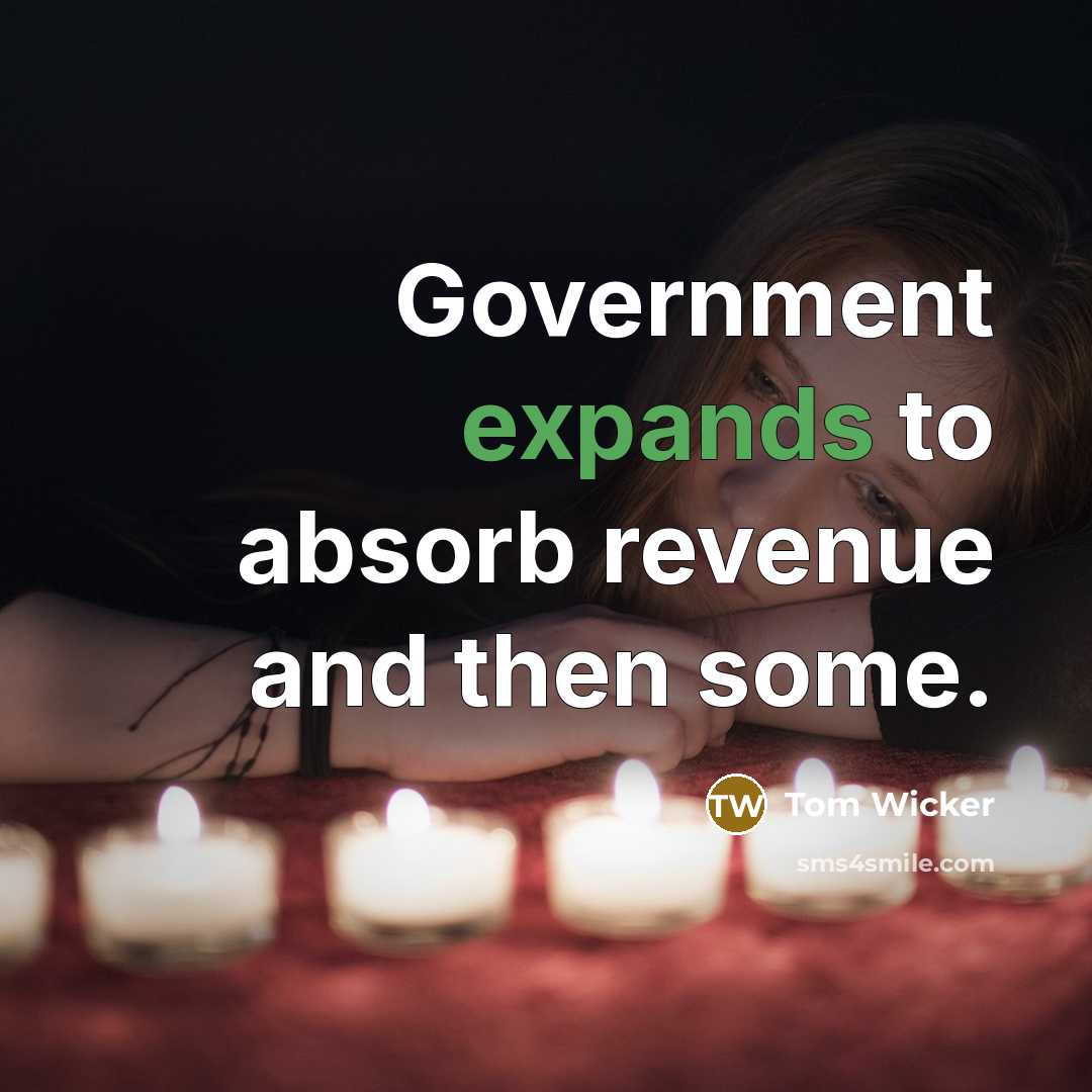 “Government expands to absorb revenue and then some.” quote by Tom Wicker