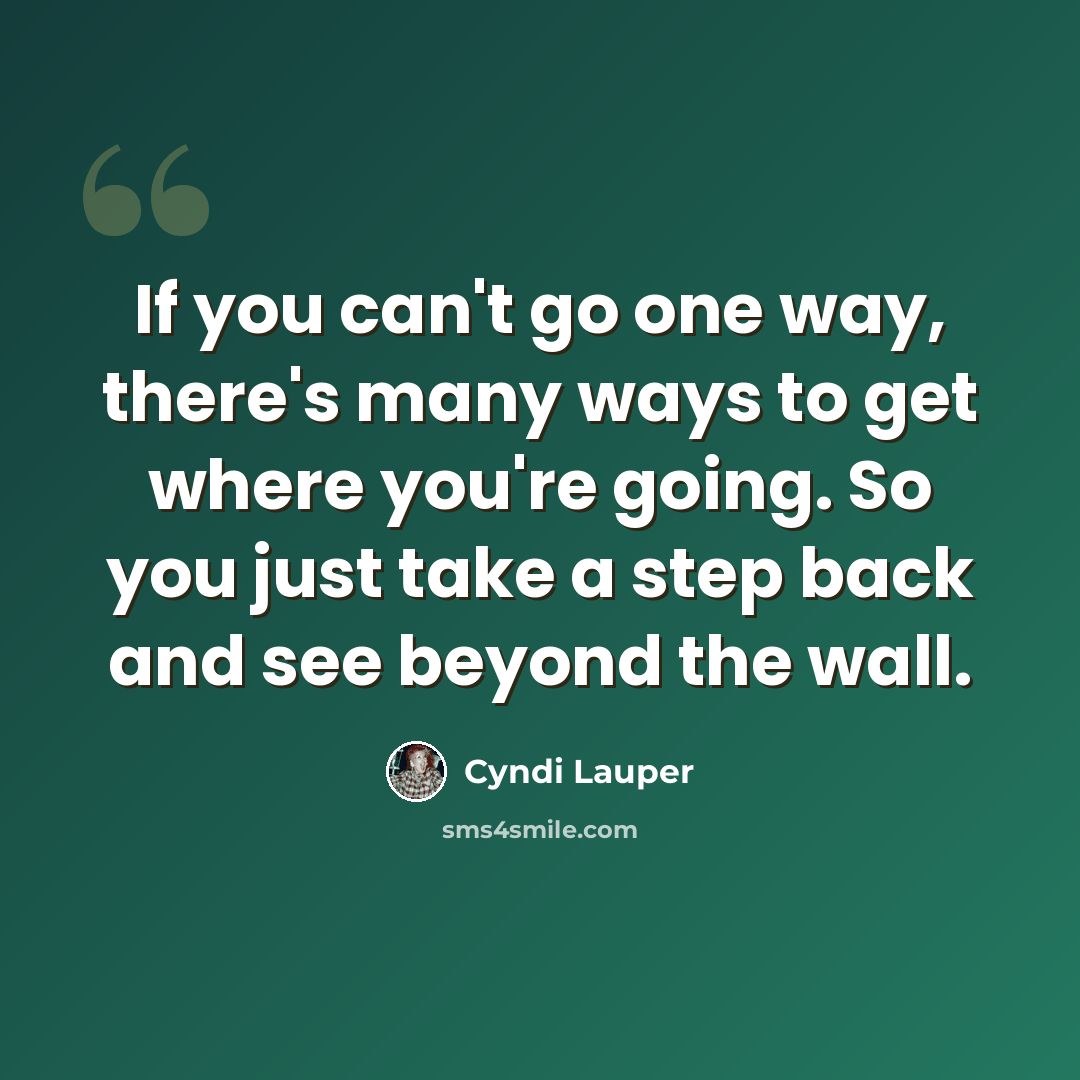 “If you can't go one way, there's many ways to get where you're going. So you just take a step back and see beyond the wall.” quote by Cyndi Lauper
