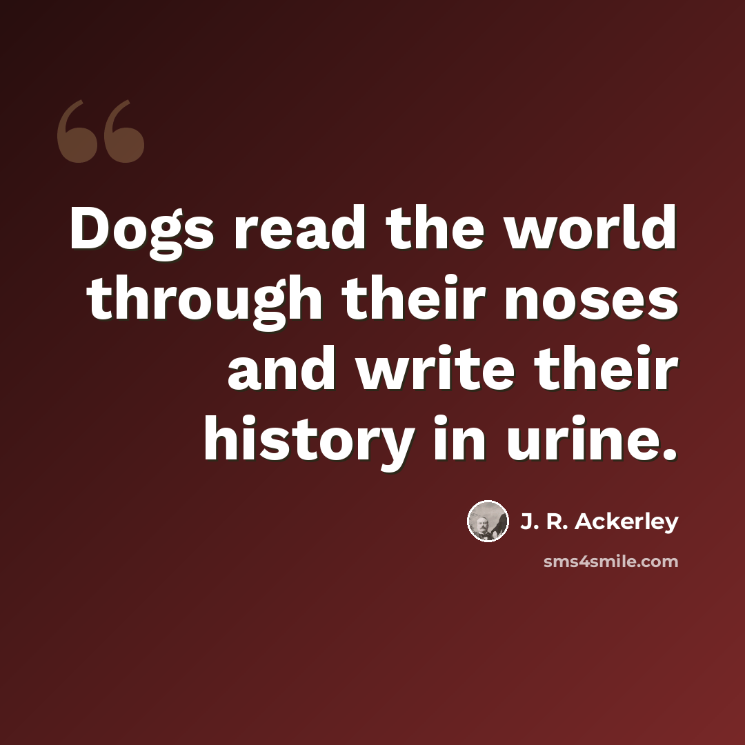 “Dogs read the world through their noses and write their history in urine.” quote by J. R. Ackerley