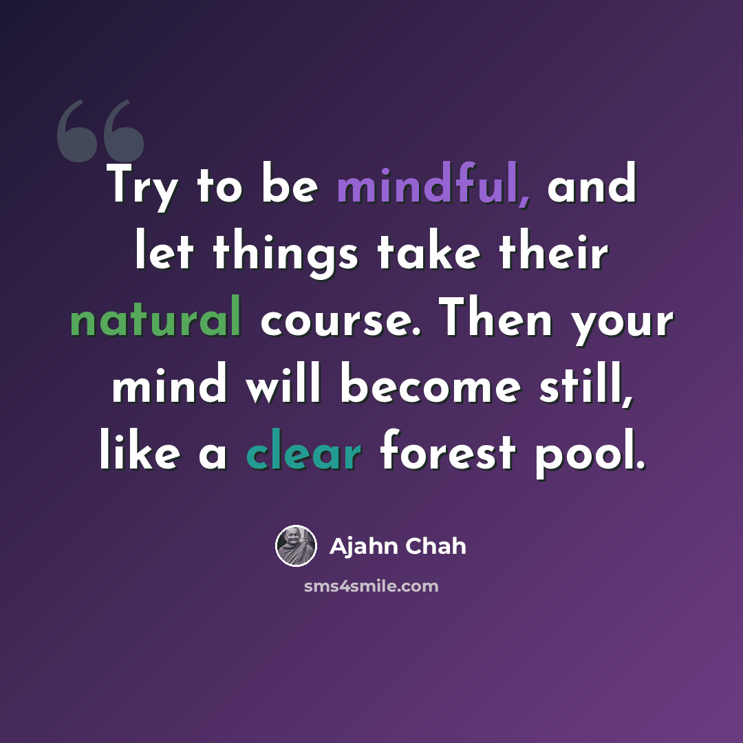 “Try to be mindful, and let things take their natural course. Then your mind will become still, like a clear forest pool.” quote by Ajahn Chah