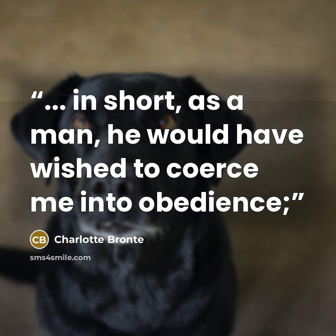 “... in short, as a man, he would have wished to coerce me into obedience;” quote by Charlotte Brontë