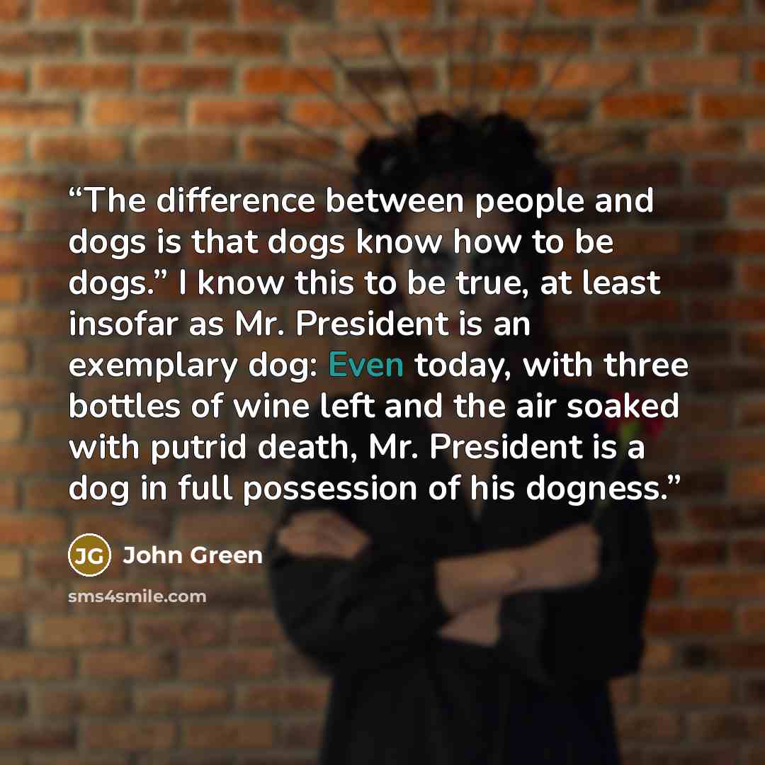 “The difference between people and dogs is that dogs know how to be dogs.” I know this to be true, at least insofar as Mr. President is an exemplary dog: Even today, with three bottles of wine left and the air soaked with putrid death, Mr. President is a dog in full possession of his dogness.” quote by John Green