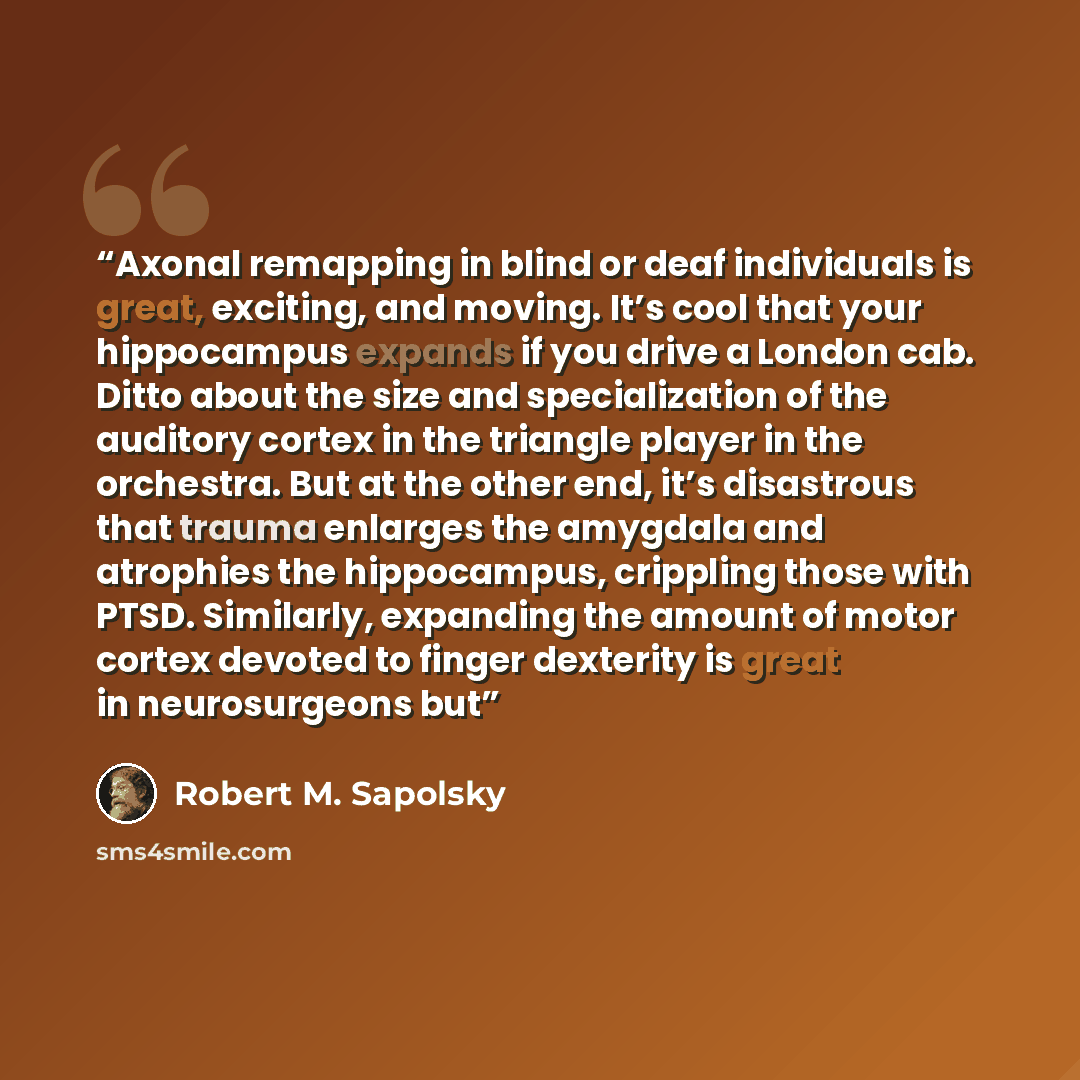 “Axonal remapping in blind or deaf individuals is great, exciting, and moving. It’s cool that your hippocampus expands if you drive a London cab. Ditto about the size and specialization of the auditory cortex in the triangle player in the orchestra. But at the other end, it’s disastrous that trauma…” quote by Robert M. Sapolsky