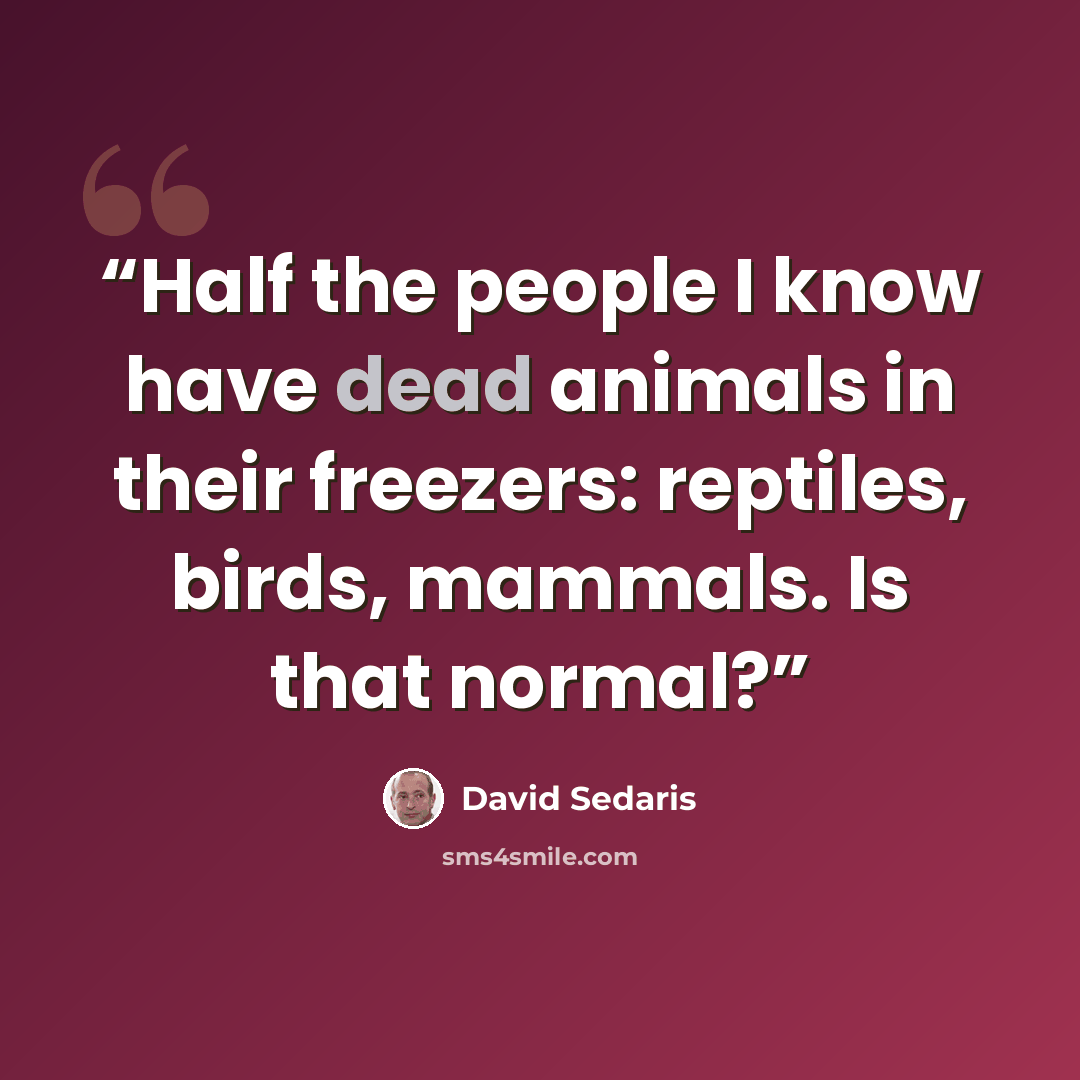 “Half the people I know have dead animals in their freezers: reptiles, birds, mammals. Is that normal?” quote by David Sedaris