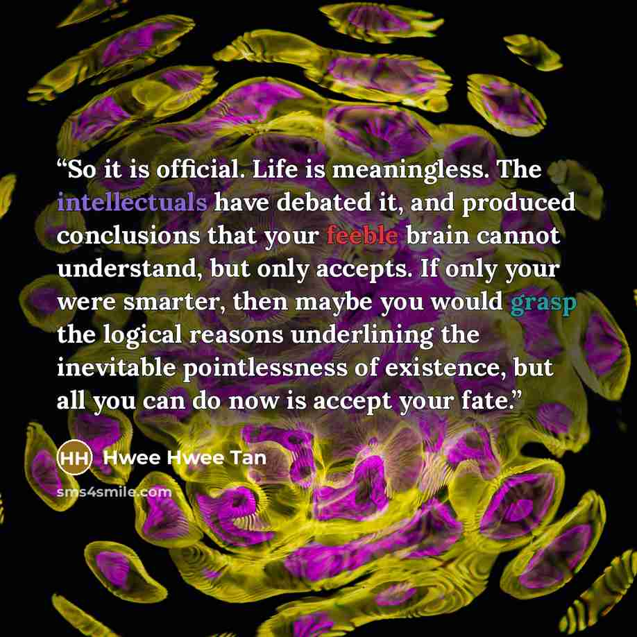 “So it is official. Life is meaningless. The intellectuals have debated it, and produced conclusions that your feeble brain cannot understand, but only accepts. If only your were smarter, then maybe you would grasp the logical reasons underlining the inevitable pointlessness of existence, but all…” quote by Hwee Hwee Tan