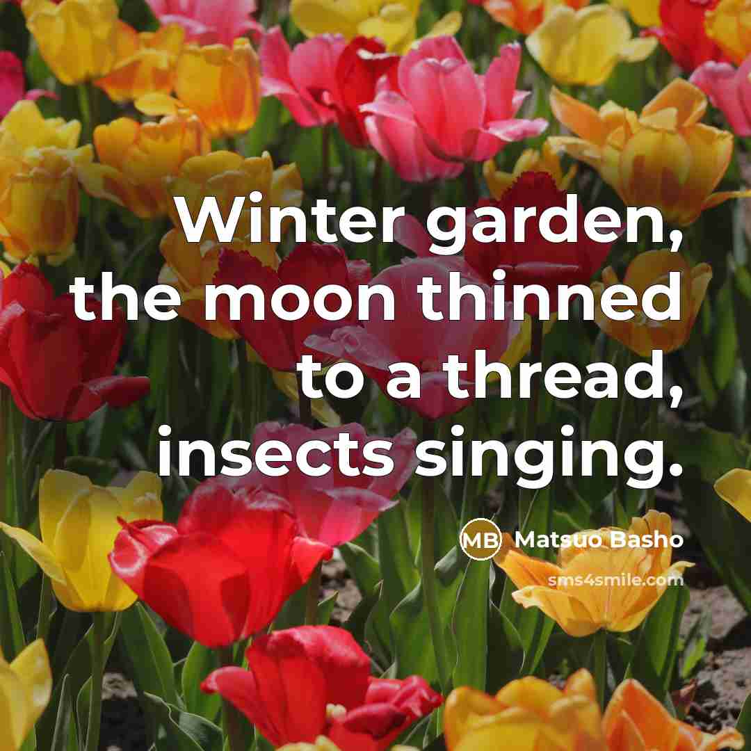 “Winter garden, the moon thinned to a thread, insects singing.” quote by Matsuo Basho