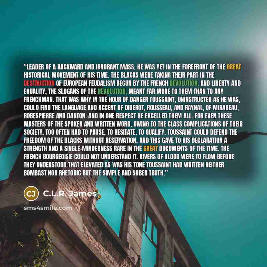 “Leader of a backward and ignorant mass, he was yet in the forefront of the great historical movement of his time. The blacks were taking their part in the destruction of European feudalism begun by the French Revolution, and liberty and equality, the slogans of the revolution, meant far more to…” quote by C.L.R. James