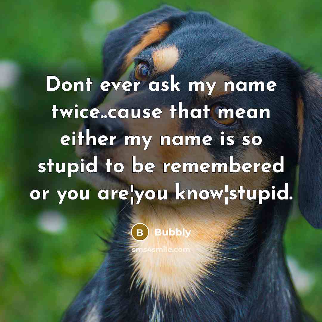 “Dont ever ask my name twice..cause that mean either my name is so stupid to be remembered or you are¦you know¦stupid.” quote by Bubbly