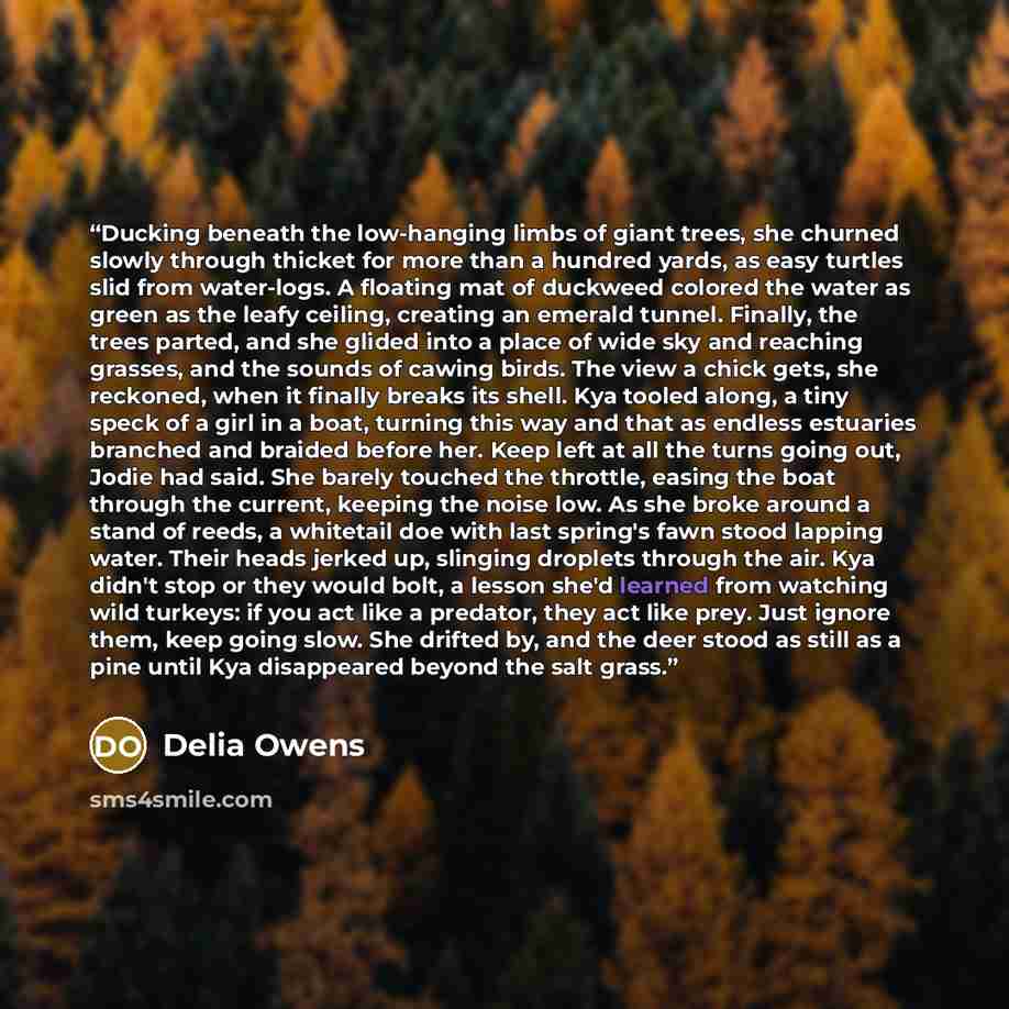 “Ducking beneath the low-hanging limbs of giant trees, she churned slowly through thicket for more than a hundred yards, as easy turtles slid from water-logs. A floating mat of duckweed colored the water as green as the leafy ceiling, creating an emerald tunnel. Finally, the trees parted, and she…” quote by Delia Owens