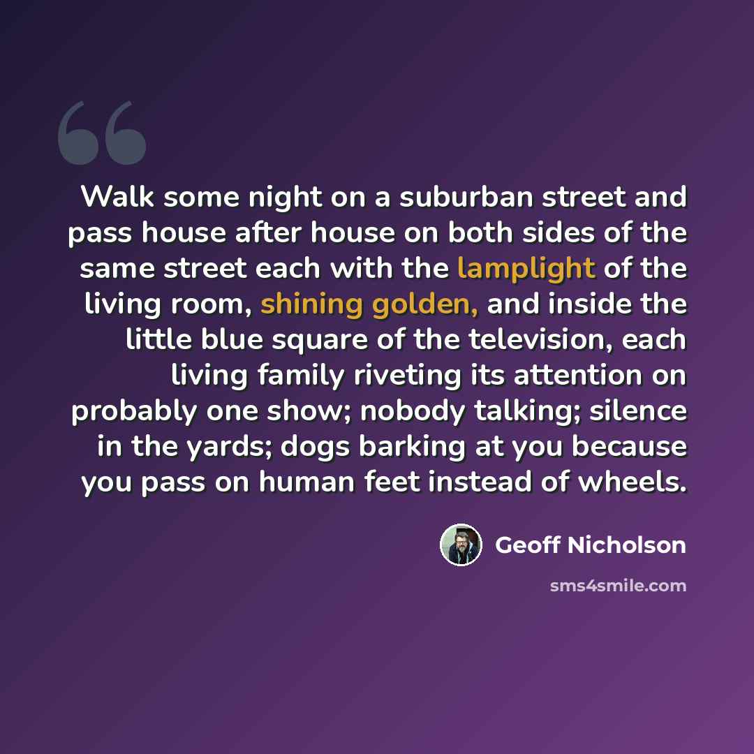 “Walk some night on a suburban street and pass house after house on both sides of the same street each with the lamplight of the living room, shining golden, and inside the little blue square of the television, each living family riveting its attention on probably one show; nobody talking; silence…” quote by Geoff Nicholson