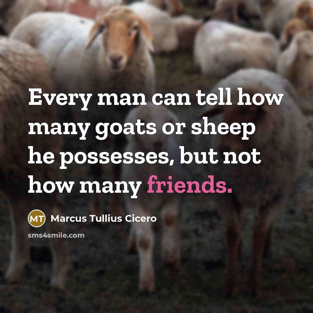 “Every man can tell how many goats or sheep he possesses, but not how many friends.” quote by Marcus Tullius Cicero