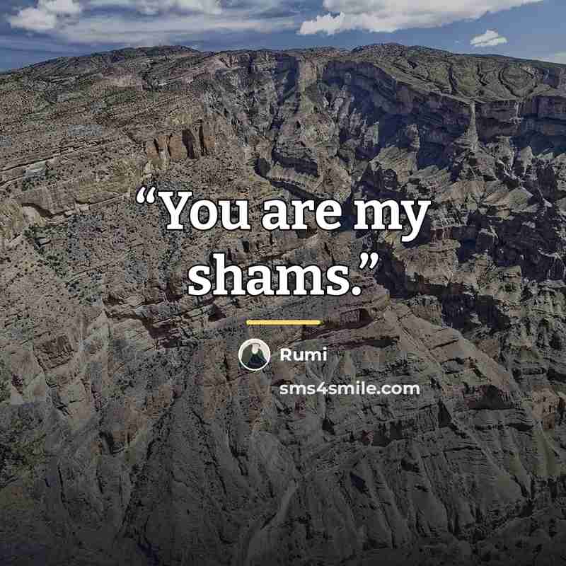 “You are my shams.” quote by rumi